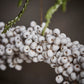 Winter White Wreath