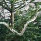 TInsel Garland - Champagne