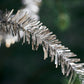 TInsel Garland - Champagne